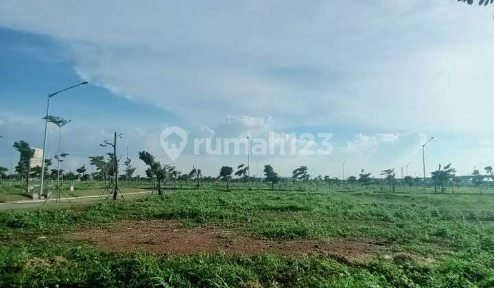 Price Drop For Sale Commercial Plot Brooklyn Pik2 Size 1500