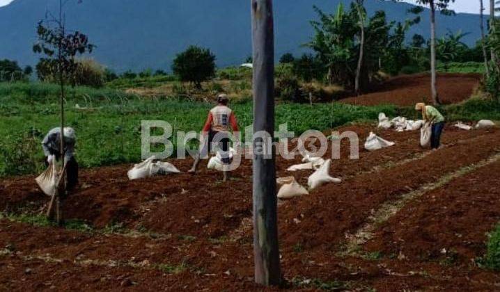 Tanah Kosong Seputaran Farming Area Cipanas Cianjur 2