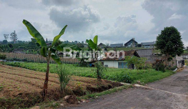 Tanah Untuk Berkebun Atau Buat Villa Di Cipanas Cianjur 2