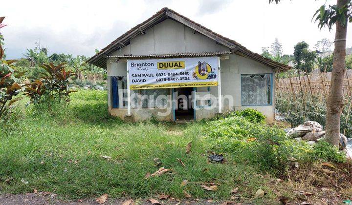 Tanah Untuk Berkebun Atau Buat Villa Di Cipanas Cianjur 1