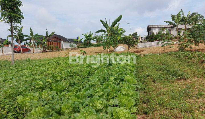 Tanah Untuk Berkebun Atau Buat Villa Di Cipanas Cianjur 2