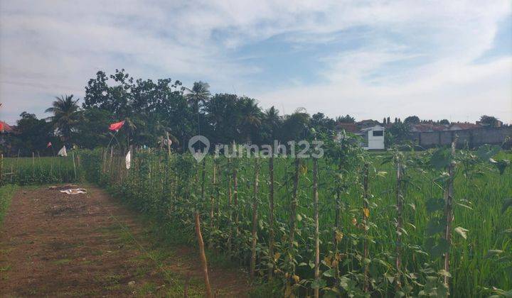 TANAH DIJUAL PASIR MUNCANG PURWOKERTO BARAT  2