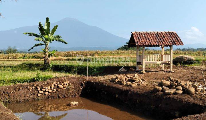 TANAH KOLAM MURAH TAMBAK SOGRA PURWOKERTO  2