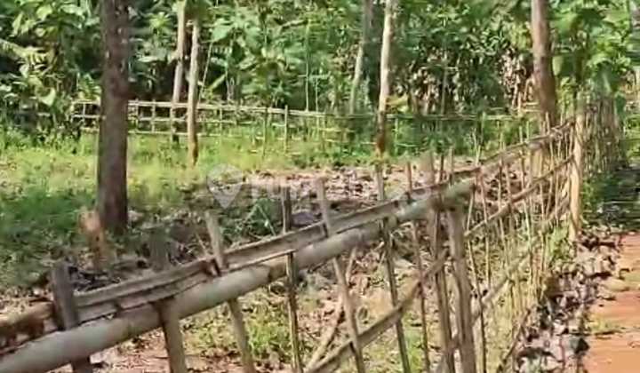 Dijual Tanah Murah Pekaja Kalibagor