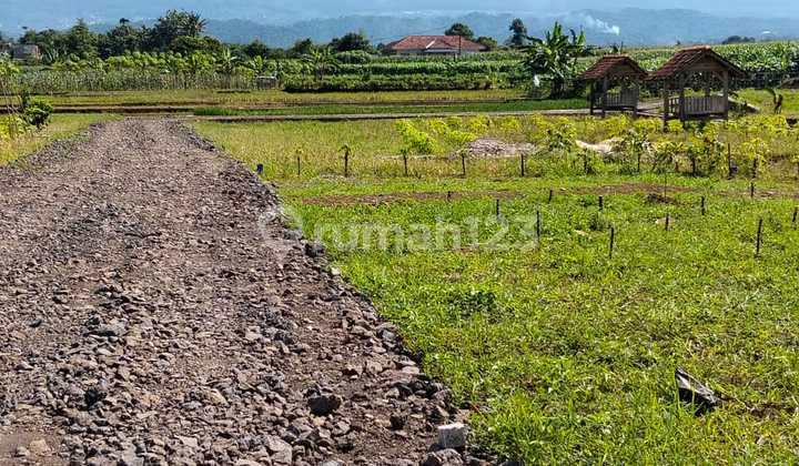 Dijual Tanah Tambaksogra Purwokerto Deket Wisata