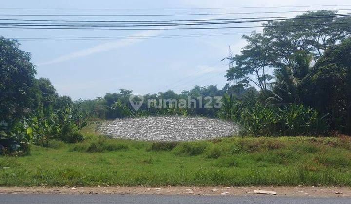 Di Jual Tanah Strategis Pinggir Jalan Utama, Tanjung Sari Bogor 2