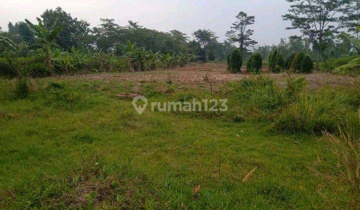 Di Jual Lahan Yang Strategis Di Sentul Bogor  1