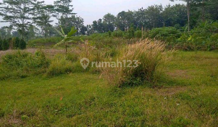 Di Jual Lahan Yang Strategis Di Sentul Bogor  2