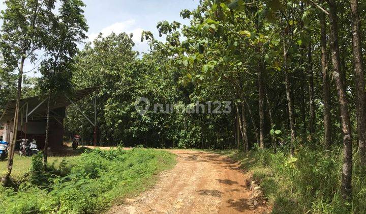 Di Jual Cepat Tanah Zona Industri Di Lulut Gunung Putri Bogor 1