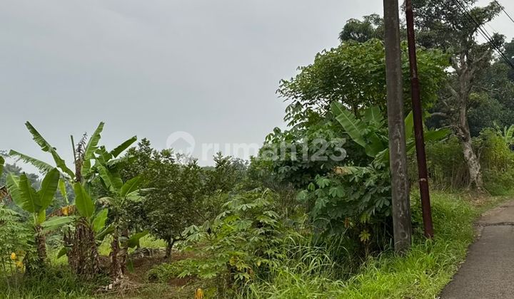 For Sale Strategic Cheap Land in Cigudeg Bogor For Sale Strategic Cheap Land in Cigudeg Bogor