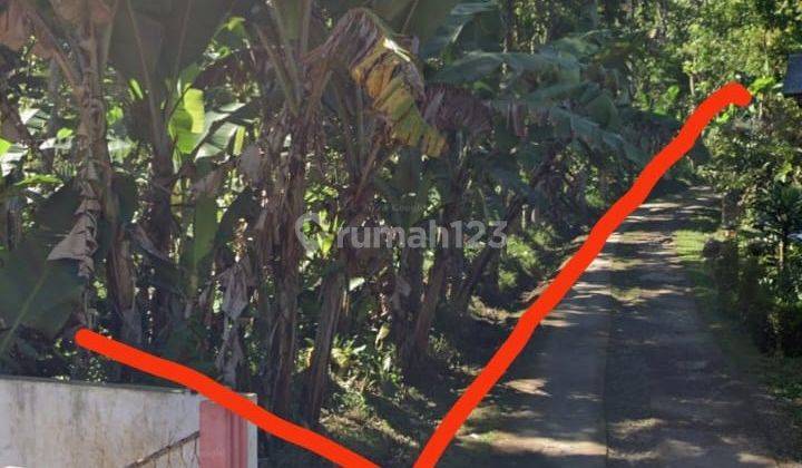 Di Jual Cepat Tanah Murah Di Cianjur Cocok Untuk Perumahan, Villa Atau Perkebunan