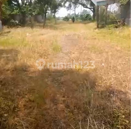 For Sale 1.5 ha Land on West Bogor Provincial Road