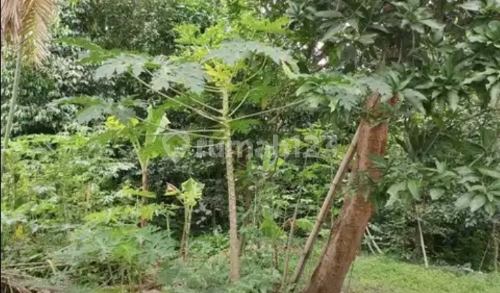 For Sale: Spacious and Strategic Land in Lenteng Agung, South Jakarta