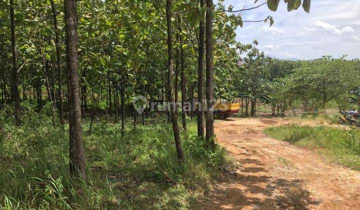 Di Jual Cepat Tanah Zona Industri Di Lulut Gunung Putri Bogor 2