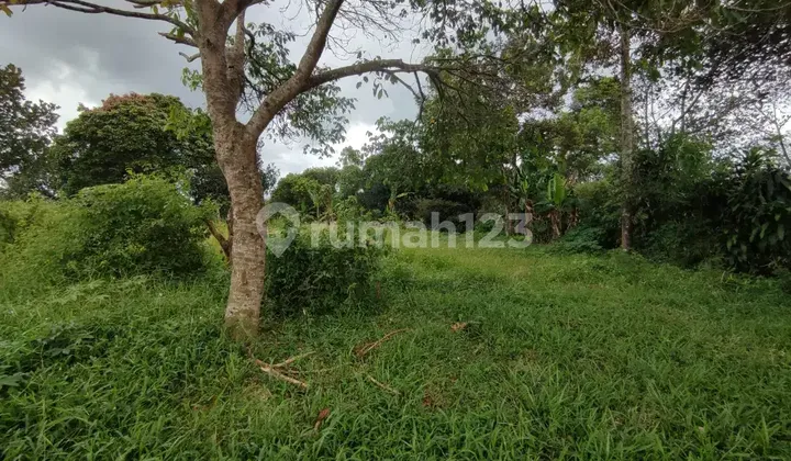 For Rent: Large Strategic Land by the Main Highway For Rent: Large Strategic Land by the Main Highway