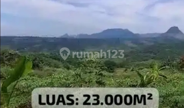 Flood-Free Land for Sale in Sukadamai, Jonggol, Bogor Flood-Free Land for Sale in Sukadamai, Jonggol, Bogor