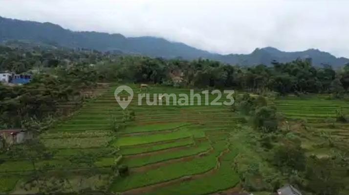 Dijual Tanah Strategis di Wargajaya Bogor Dijual Tanah Strategis di Wargajaya Bogor