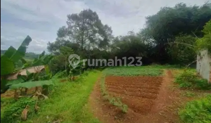 Land for Sale in Jonggol, Suitable for Housing