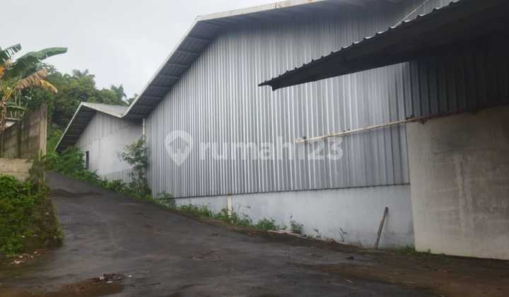 Citeureup Bogor Warehouse