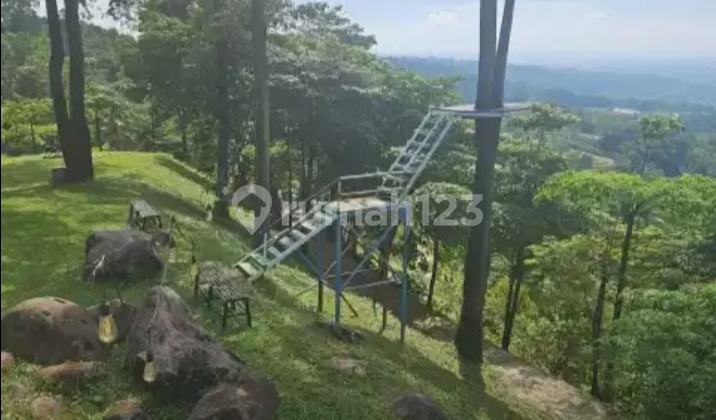 Land & Villa Building for Sale in Bogor