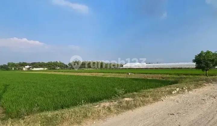 Dijual Tanah Sawah (Bisa dikeringkan) - Zona industri Parangjoro Luas 2570m2 Dijual Tanah Sawah (Bisa dikeringkan) - Zona industri Parangjoro Luas 2570m2
