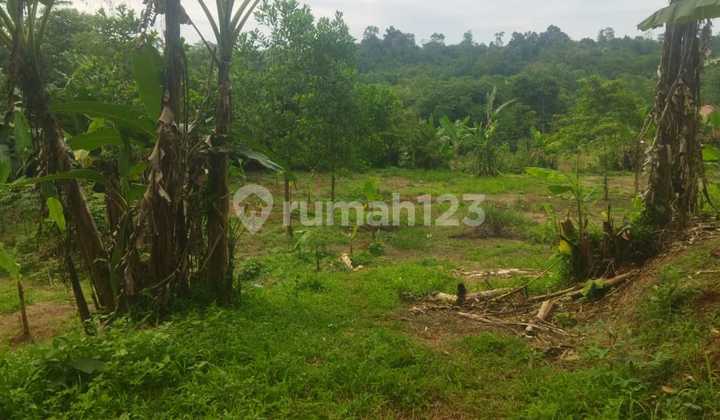 Land for Sale in Jonggol, Bogor, Suitable for Housing Land for Sale in Jonggol, Bogor, Suitable for Housing