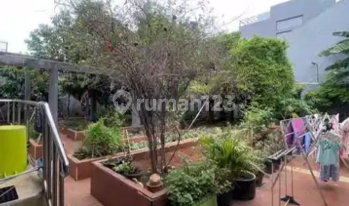 Sold Far Below NJOP Land-Calculated House in Pondok Indah, South Jakarta