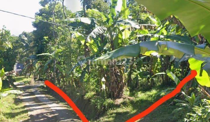 Di Jual Cepat Tanah Murah Di Cianjur Cocok Untuk Perumahan, Villa Atau Perkebunan 2