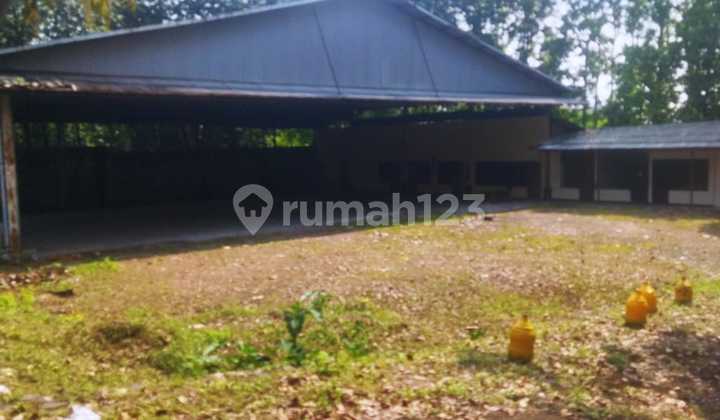Warehouse for rent cheap in Sentul Bogor
