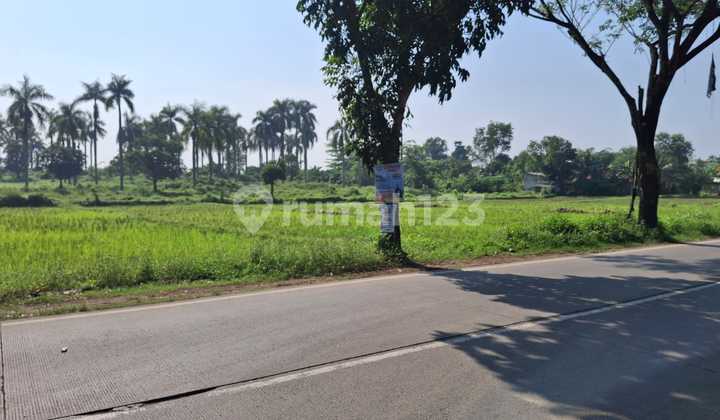 Di Jual Tanah Murah Bagus di Tigaraksa Tanggerang