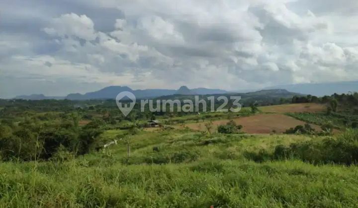 For Rent: Large Strategic Land by the Main Highway For Rent: Large Strategic Land by the Main Highway