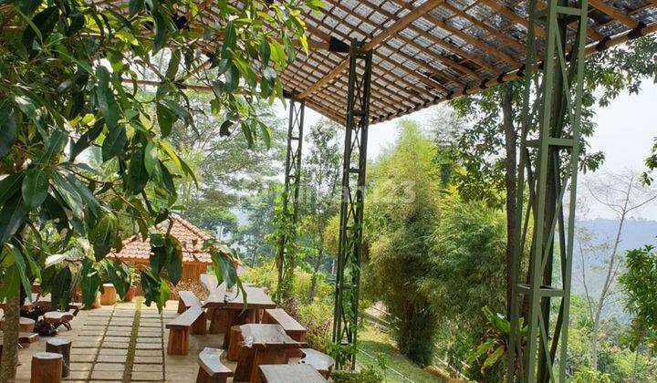 Dijual Tempat Wisata Resto Cafe Gathering Outbond Curug  2