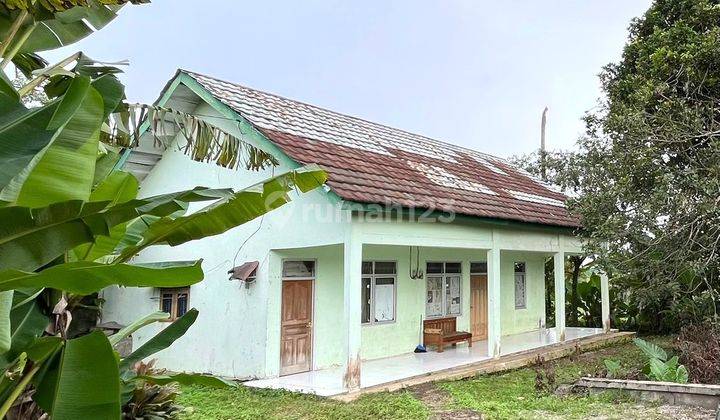 Rumah Hitung Tanah di Bogor Lokas Strategis Harga Murah 1