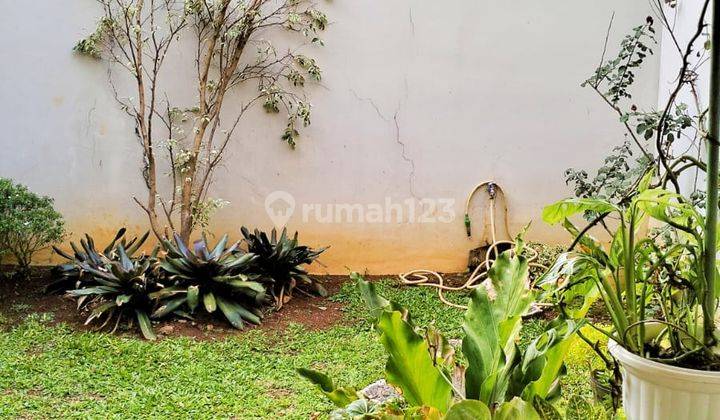 Rumah Tropical Minimalis Di Cluster Strategis Dekat Mrt 7