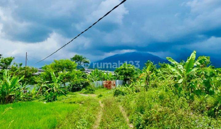 Tanah 1 Hektar di Cijeruk Bogor Cocok Untuk Villa atau Hunian 1