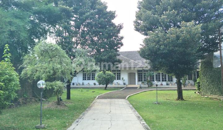 Single-Story Super Spacious House in Front of Cinere Main Road