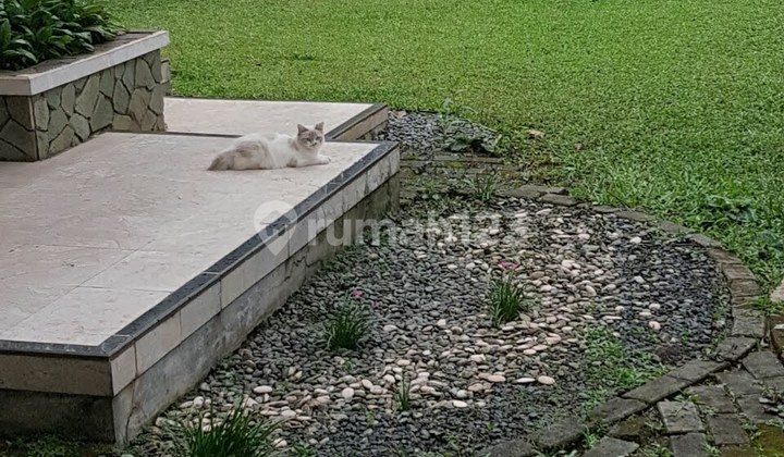 1,910 m² Spacious House in Pondok Labu with Large Yard & Strategic Access 2