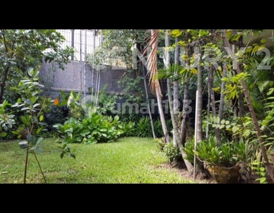 RUMAH MEWAH ASRI STRATEGIS Di JALAN BESAR. AKSES MUDAH 2