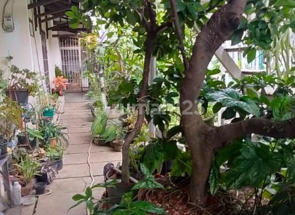 Affordable House in Central Bandung, Bkr Wing, Rare Find.