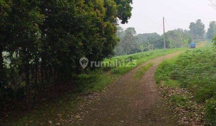 Tanah Datar di Parung Hijau, Cocok untuk Pergudangan 1