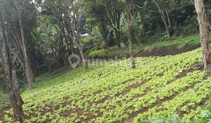 Tanah View Bandung-cimahi Tanah