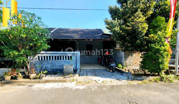 Rumah Bagus Di Jl. Tugurejo Timur SHM - Sertifikat Hak Milik 1