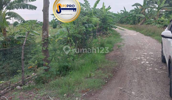 Dijual lahan di sukawangi bekasi 2