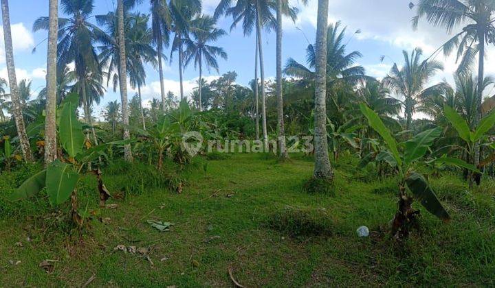 Di Jual Tanah Dimegati Kaje 
tabanan Bali 2