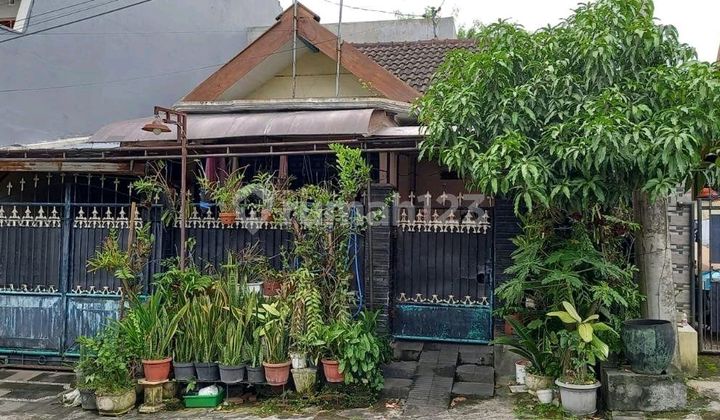 Dijual Rumah Simpang Sulfat Selatan Pondok Mulia 1
