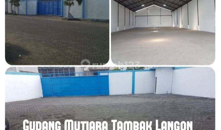 Disewakan Gudang Mutiara Tambak Langon   1