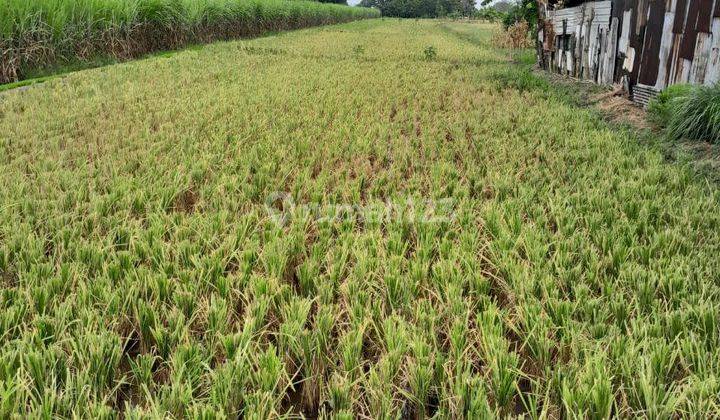Dijual Kavling Industri Kedamean Gresik  1