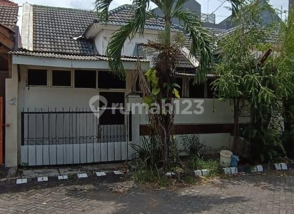 For Rent: Permata Safira Houses, 2 Houses Available 1