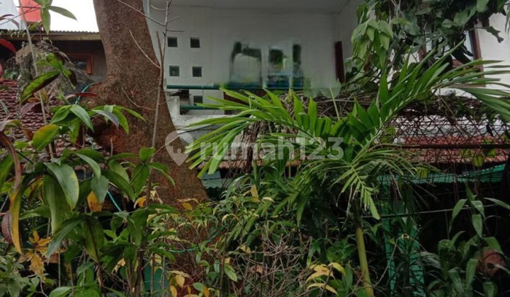 Well-Maintained Old House Good Location Turangga 2