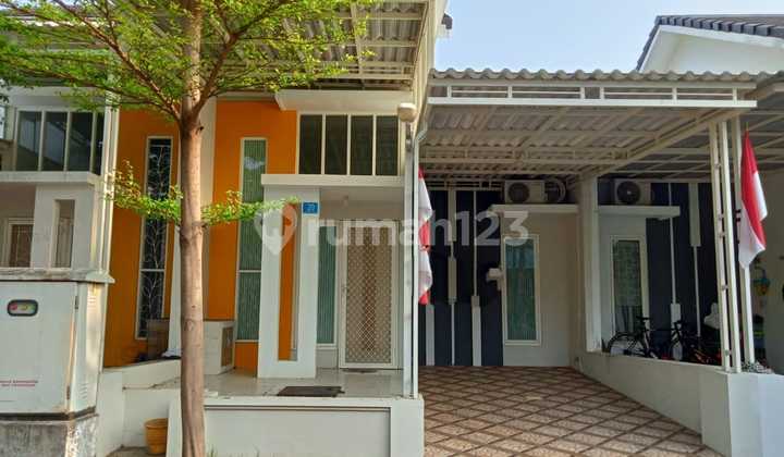 wisata semanggi mangrove rungkut wonorejo 1